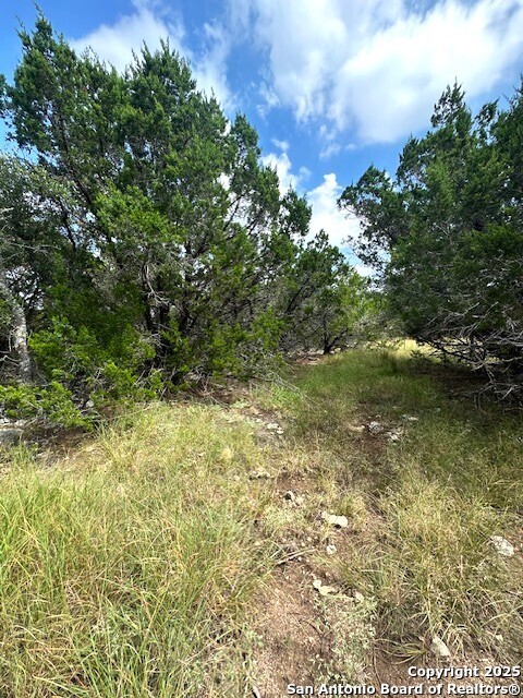 Tbd Lot 4 Royal Eagle Fischer TX 78623