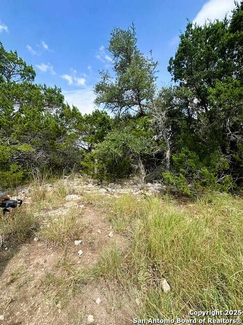 Tbd Lot 4 Royal Eagle Fischer TX 78623