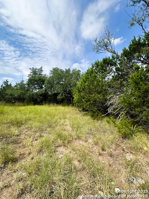 Tbd Lot 4 Royal Eagle Fischer TX 78623