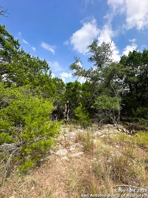 Tbd Lot 4 Royal Eagle Fischer TX 78623
