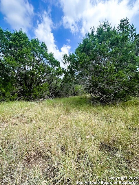 Tbd Lot 4 Royal Eagle Fischer TX 78623