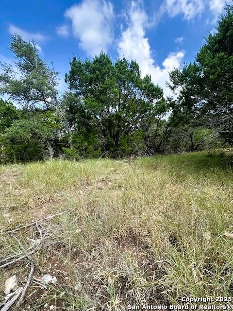 Tbd Lot 4 Royal Eagle Fischer TX 78623