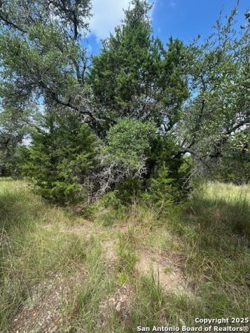 Tbd Lot 4 Royal Eagle Fischer TX 78623