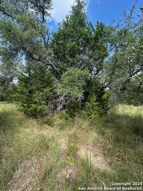 Tbd Lot 4 Royal Eagle Fischer TX 78623