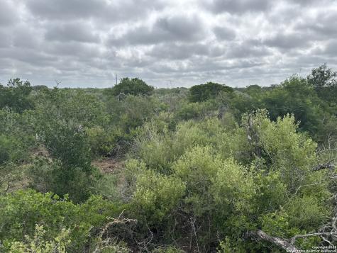 73 Rocky Hills Uvalde TX 78801