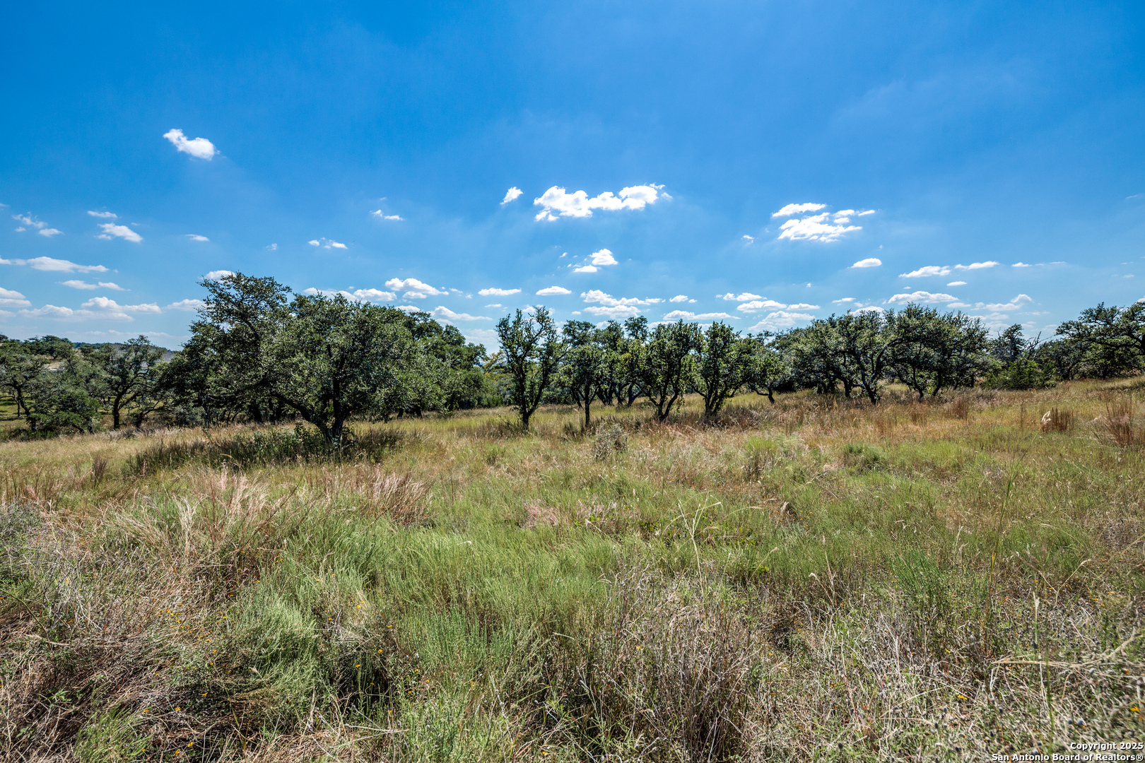 190 Fallen Acorn Drive Blanco TX 78606