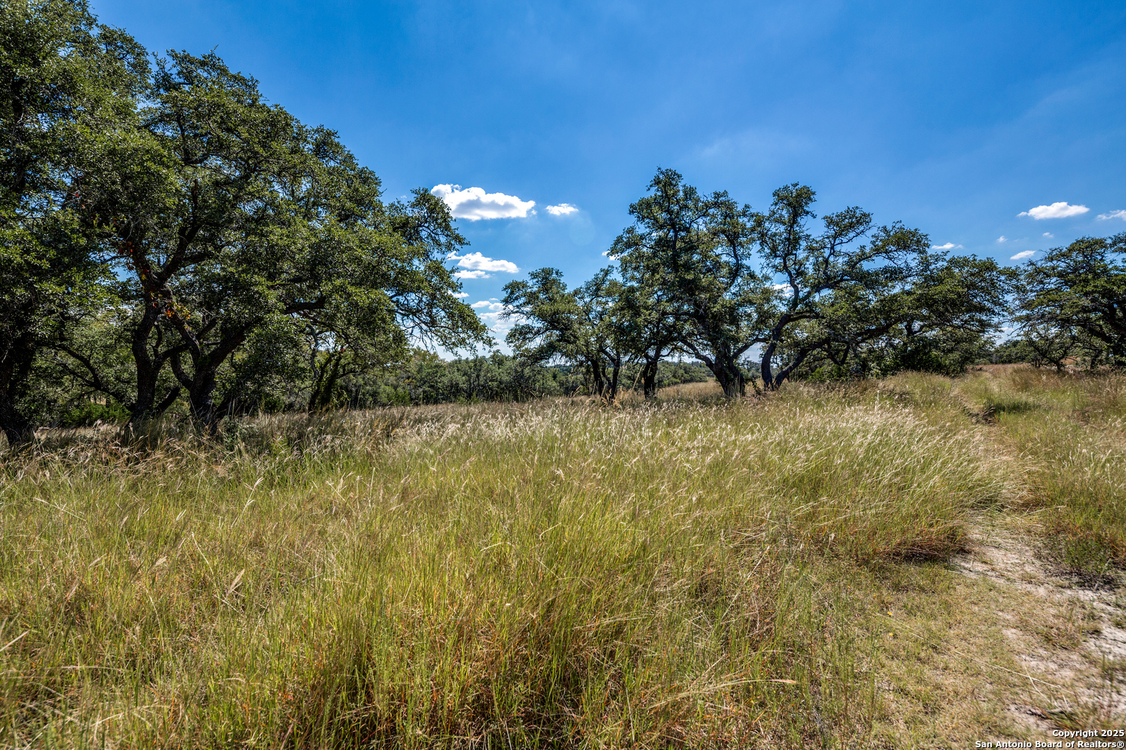 190 Fallen Acorn Drive Blanco TX 78606