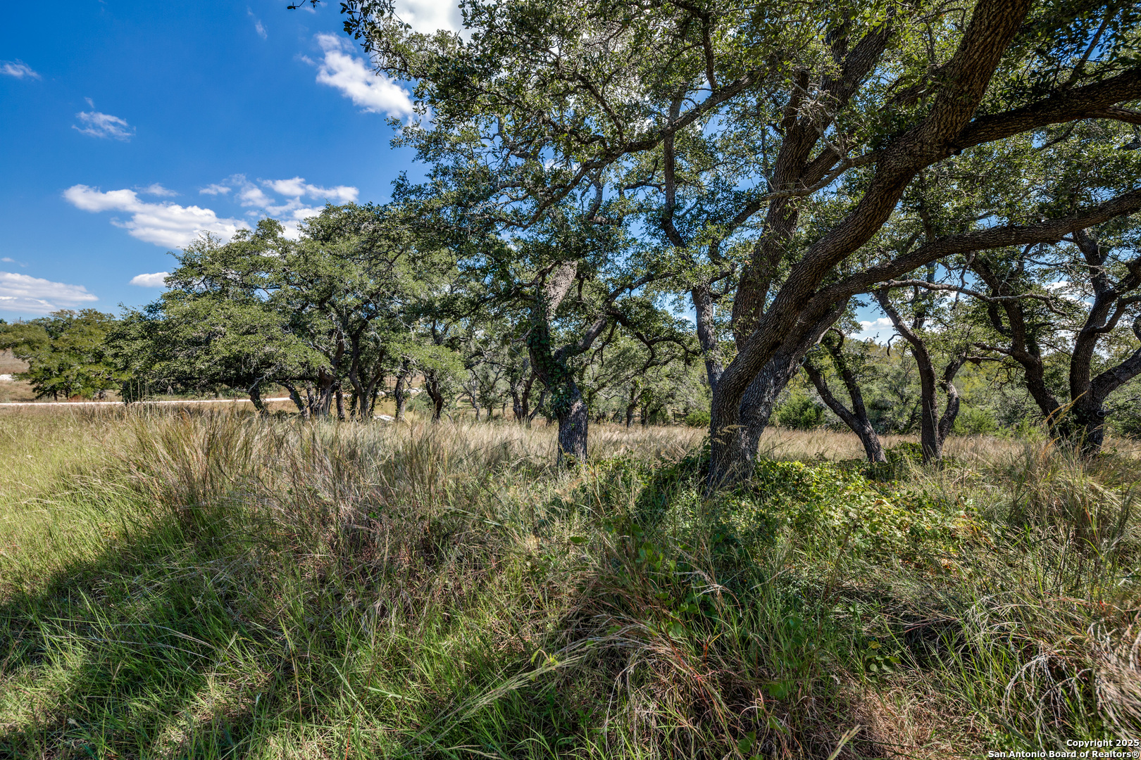 190 Fallen Acorn Drive Blanco TX 78606