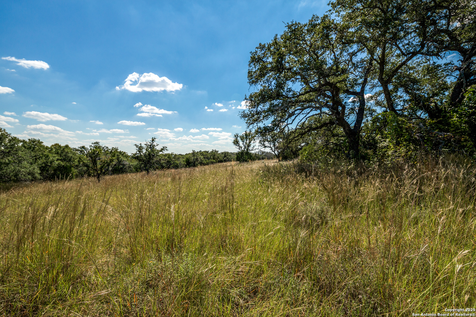 190 Fallen Acorn Drive Blanco TX 78606