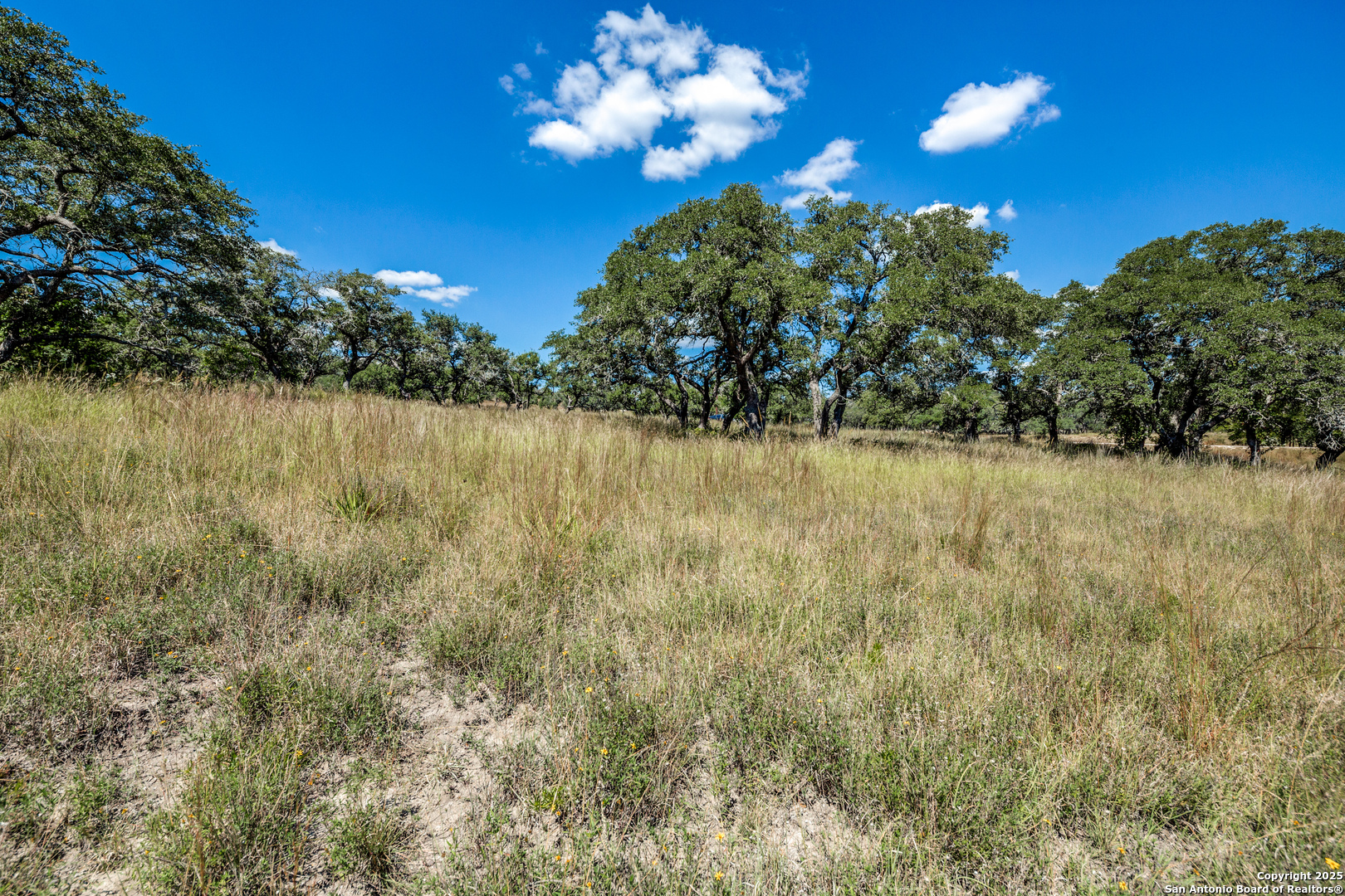 190 Fallen Acorn Drive Blanco TX 78606
