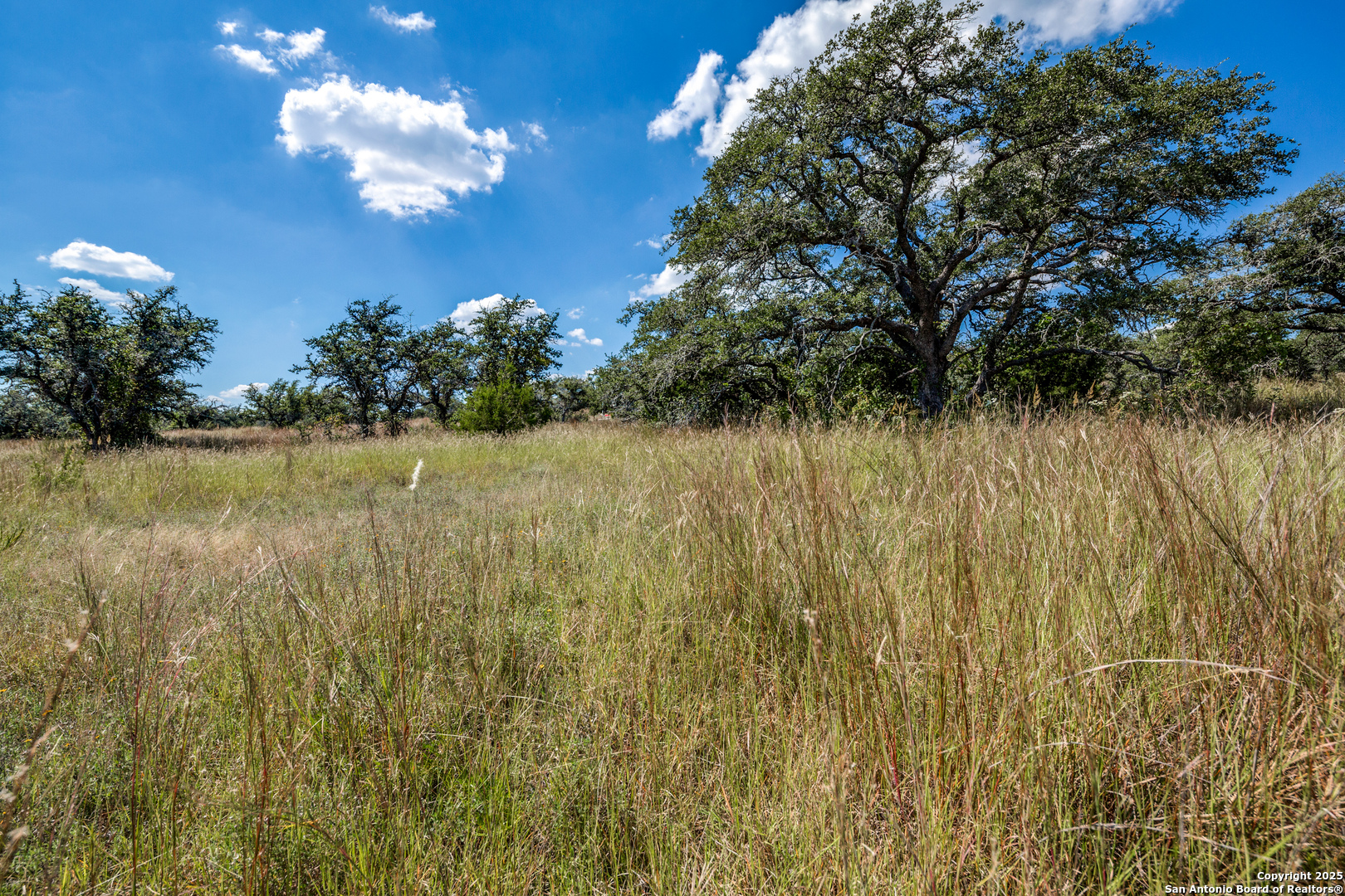 190 Fallen Acorn Drive Blanco TX 78606
