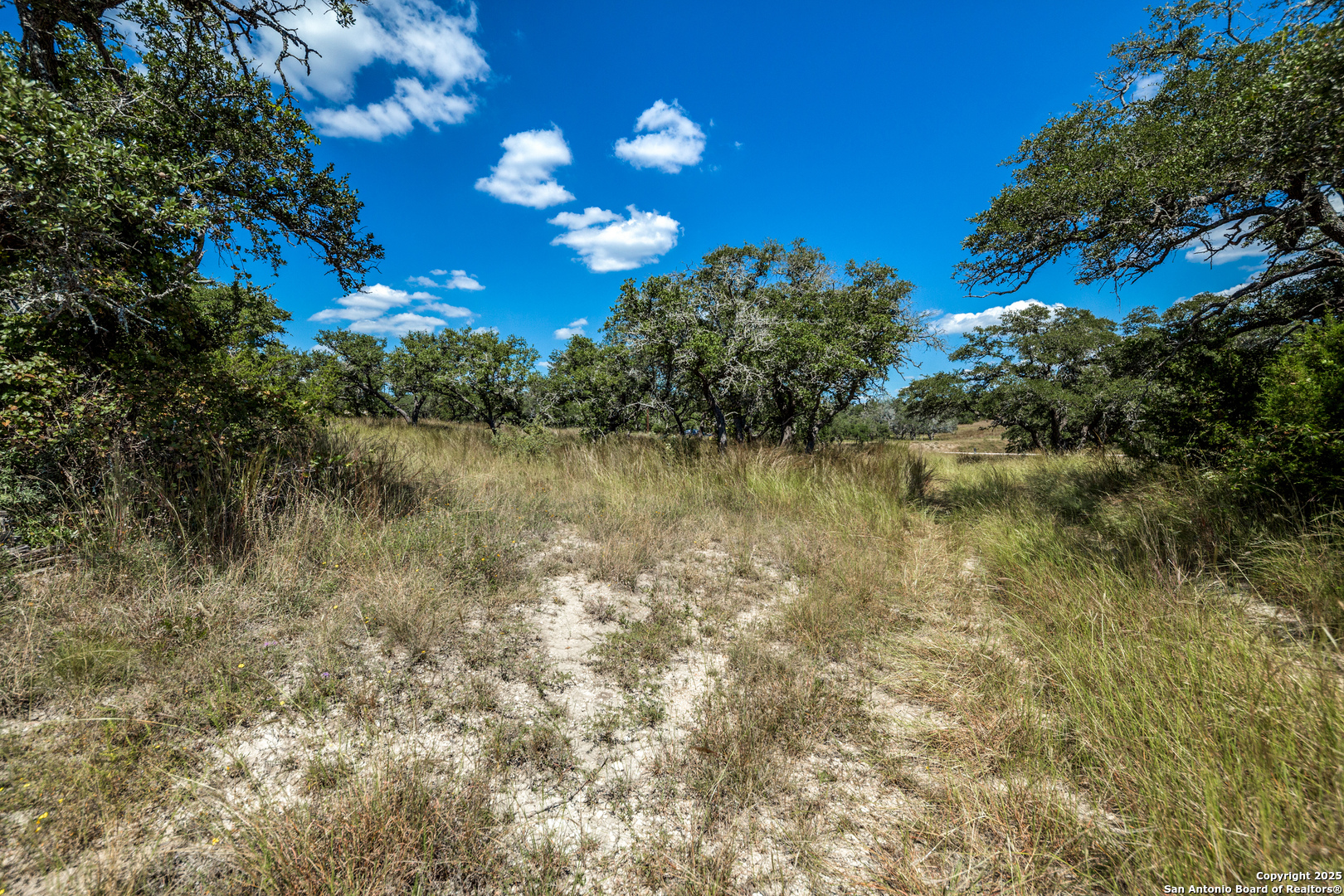190 Fallen Acorn Drive Blanco TX 78606