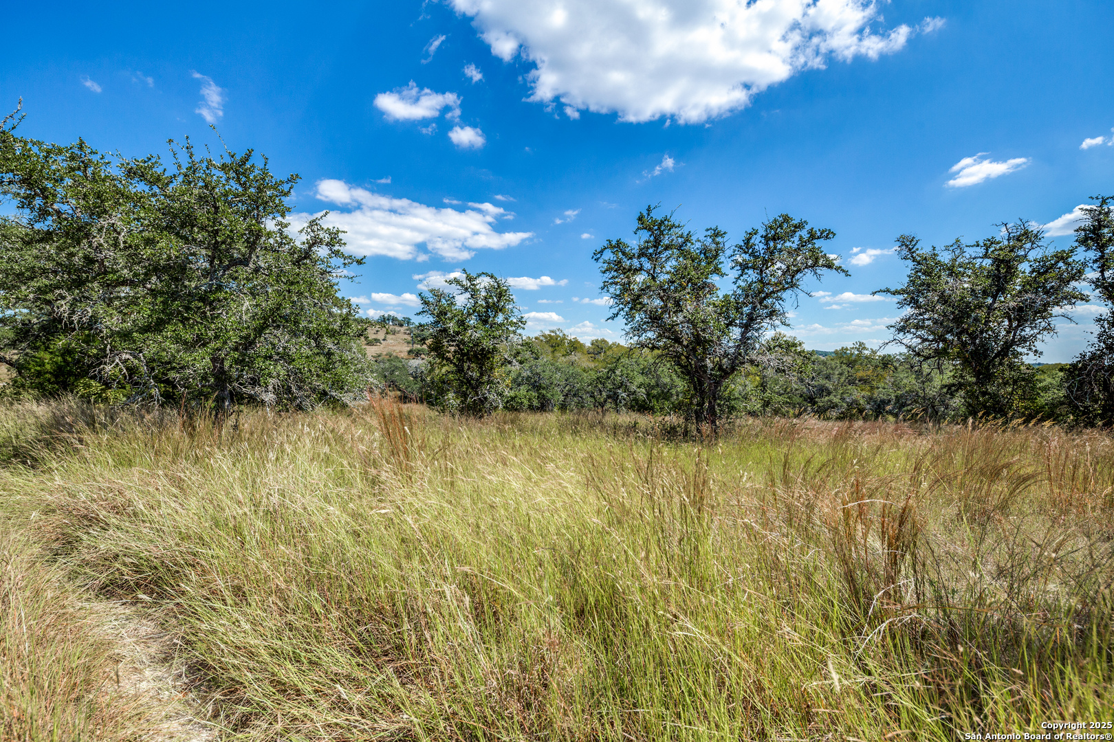 190 Fallen Acorn Drive Blanco TX 78606