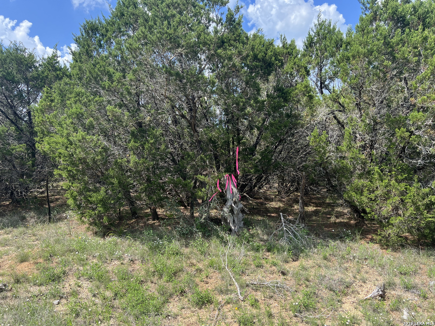 636 Rock Trail Place Spring Branch TX 78070