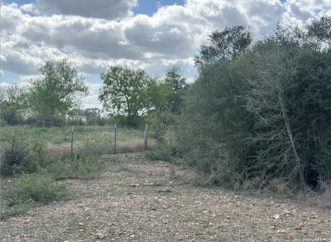 00 Highway 119 York Town TX 78164