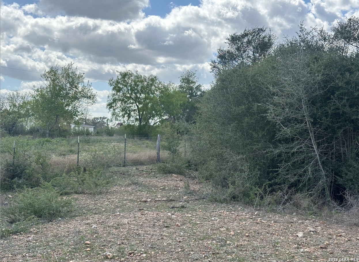 00 Highway 119 York Town TX 78164