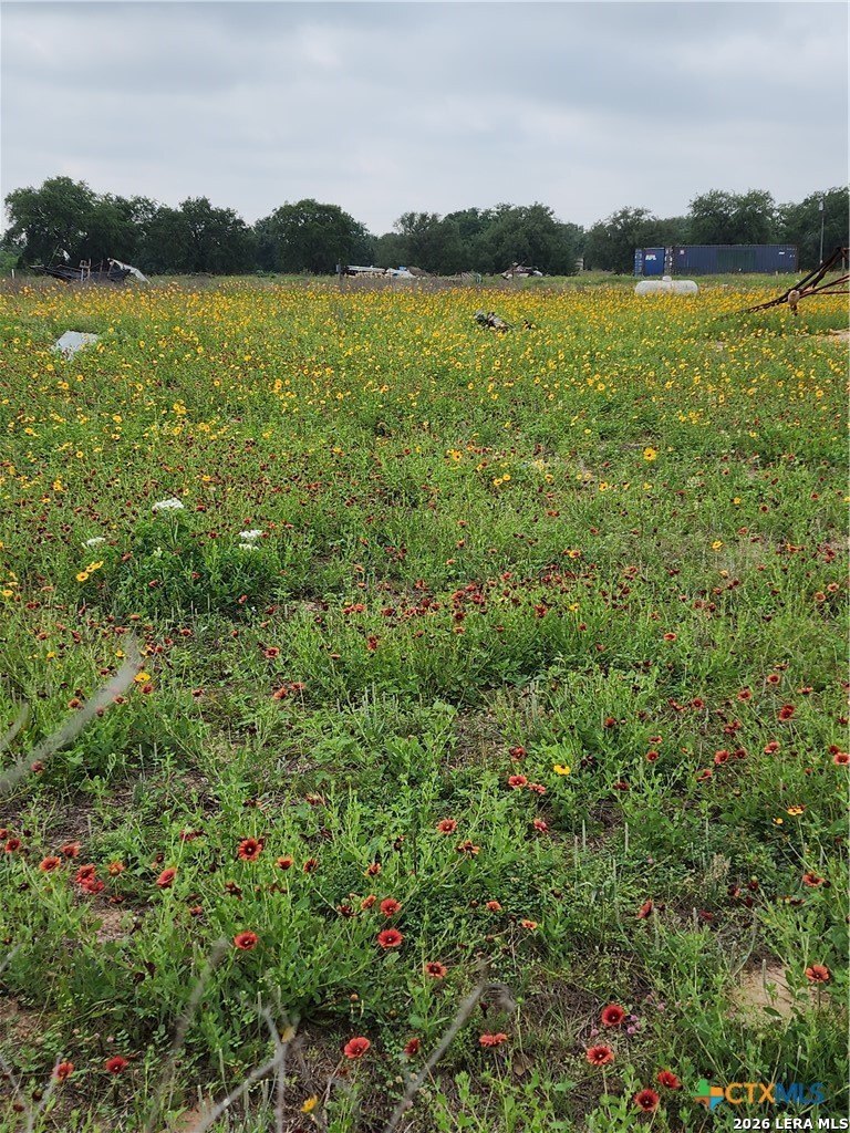 3921 Cr 334 Stockdale TX 78160