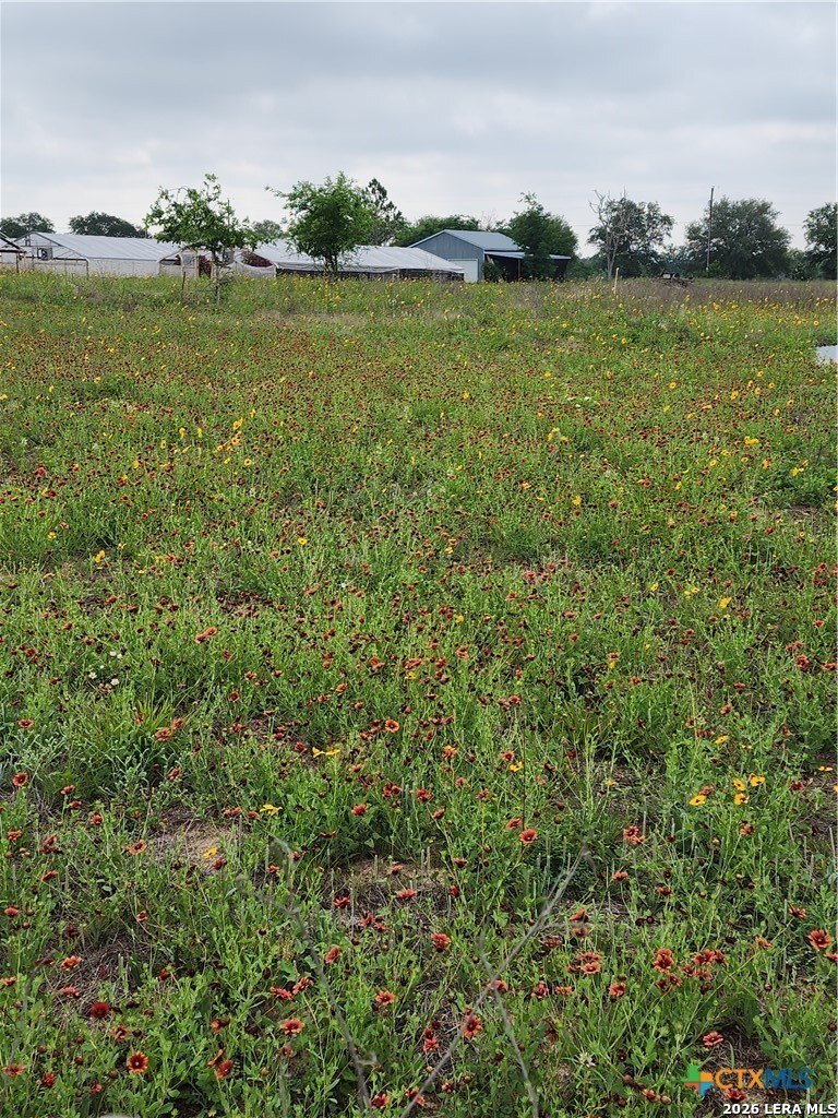 3921 Cr 334 Stockdale TX 78160