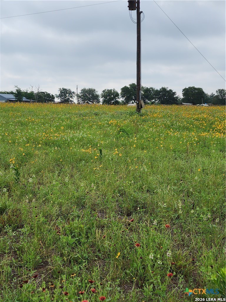 3921 Cr 334 Stockdale TX 78160