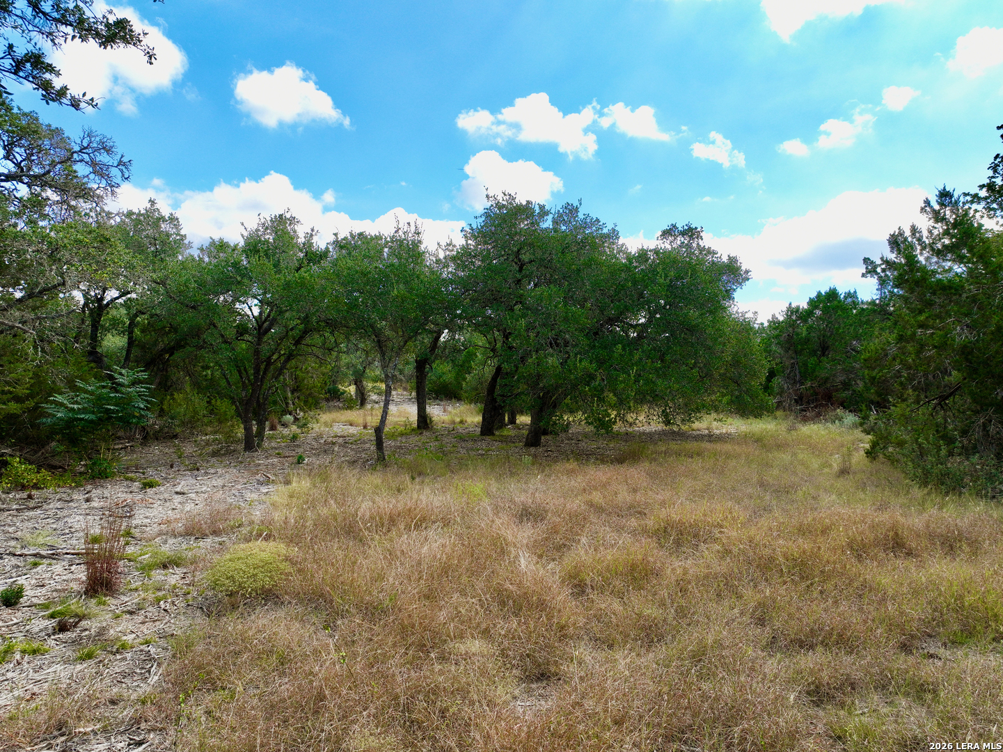 19825-A Ranch Road 12 Driftwood TX 78619