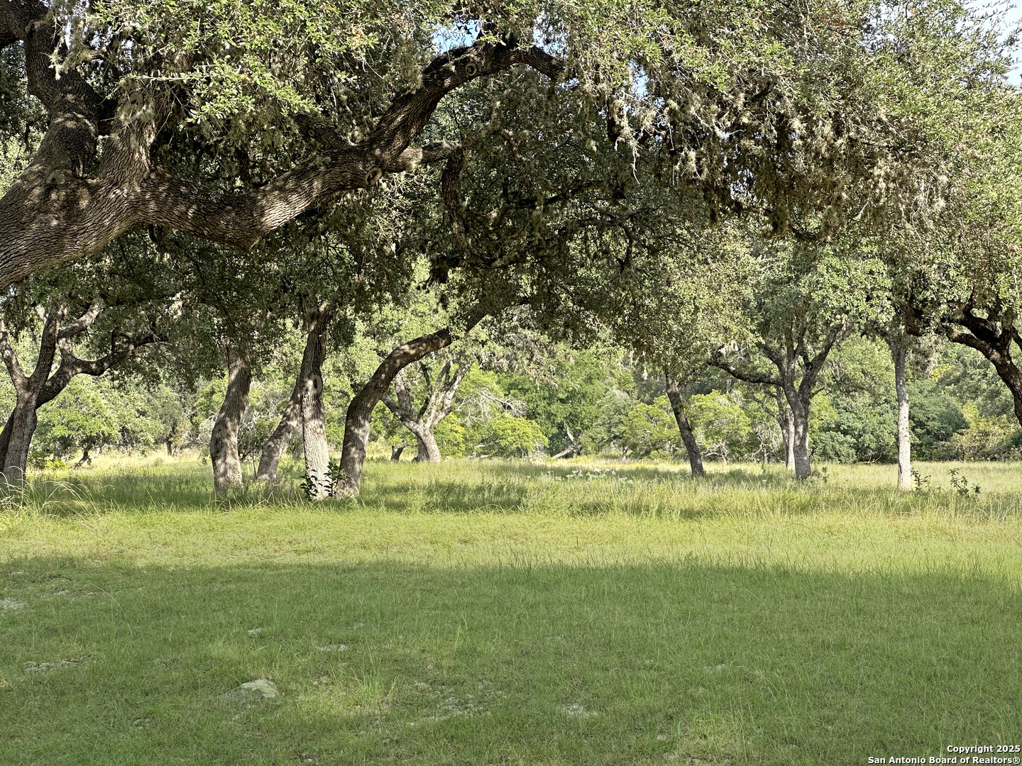 Lot 42 Blackbuck Pipe Creek TX 78063
