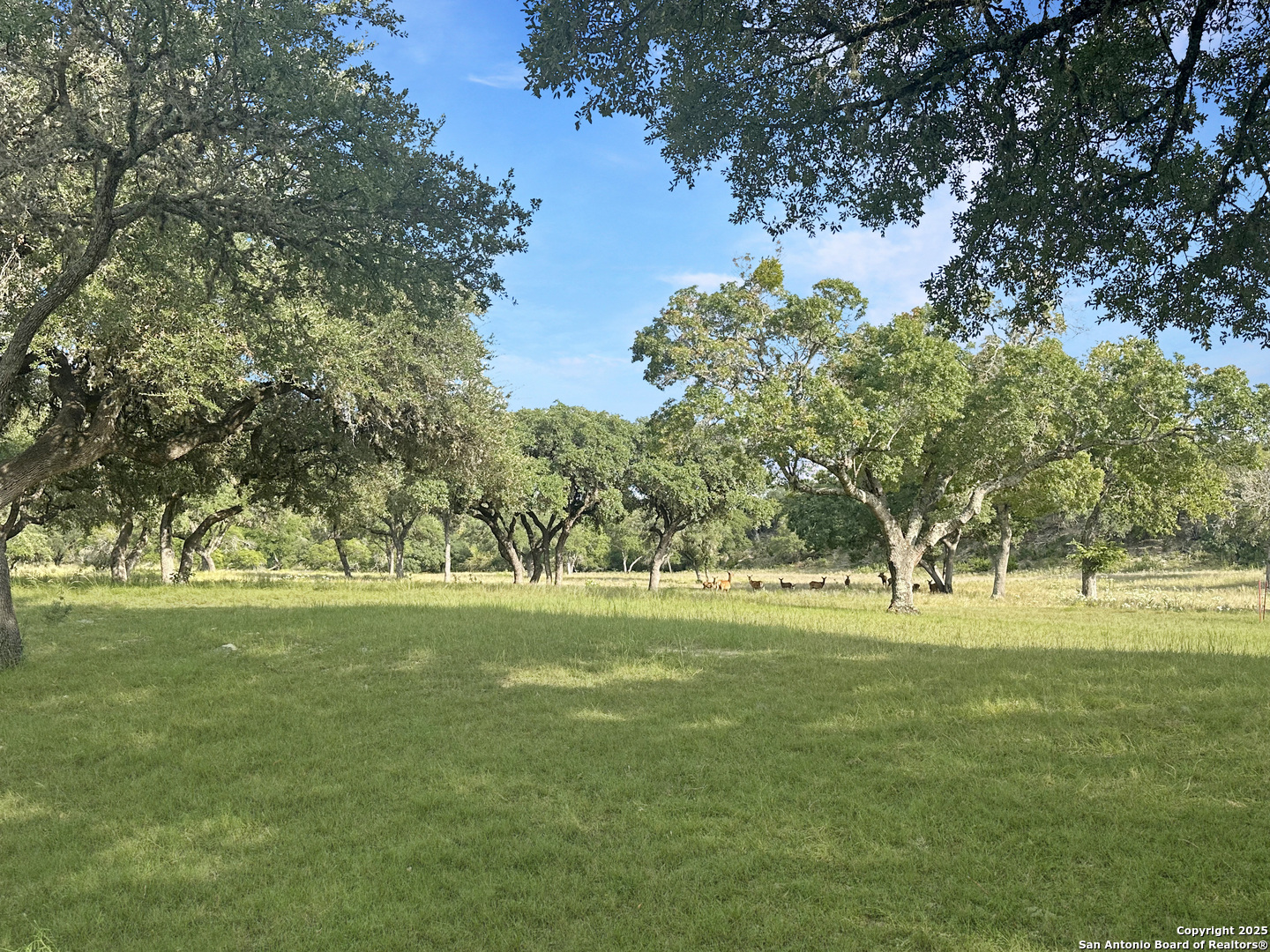 Lot 42 Blackbuck Pipe Creek TX 78063
