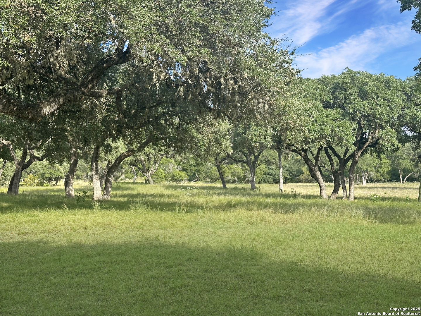Lot 42 Blackbuck Pipe Creek TX 78063