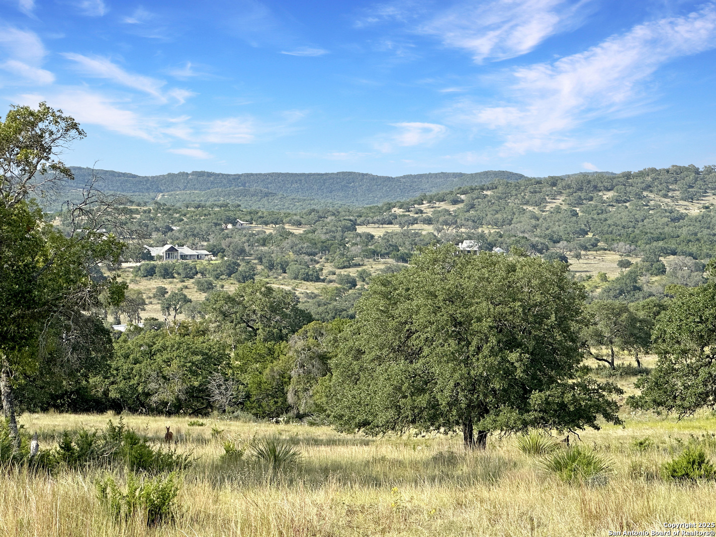 Lot 42 Blackbuck Pipe Creek TX 78063