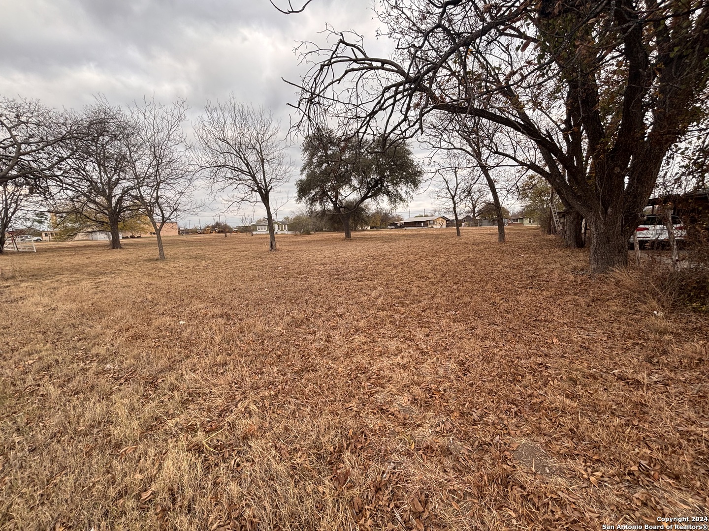 90 Highway 90 Highway Sabinal TX 78881