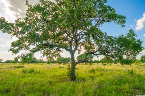 0 Live Oak Ranch Johnson City TX 78636