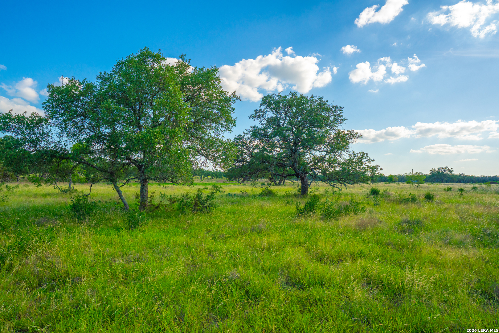 0 Live Oak Ranch Johnson City TX 78636