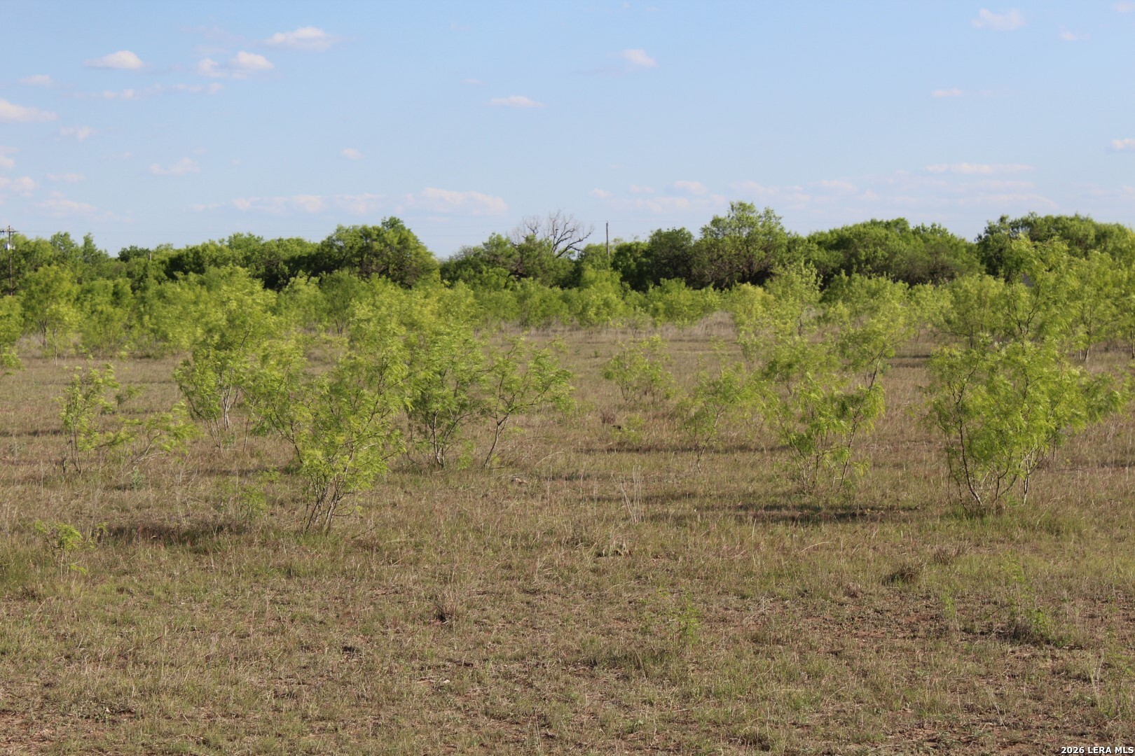 245 County Road 356 Utopia TX 78884