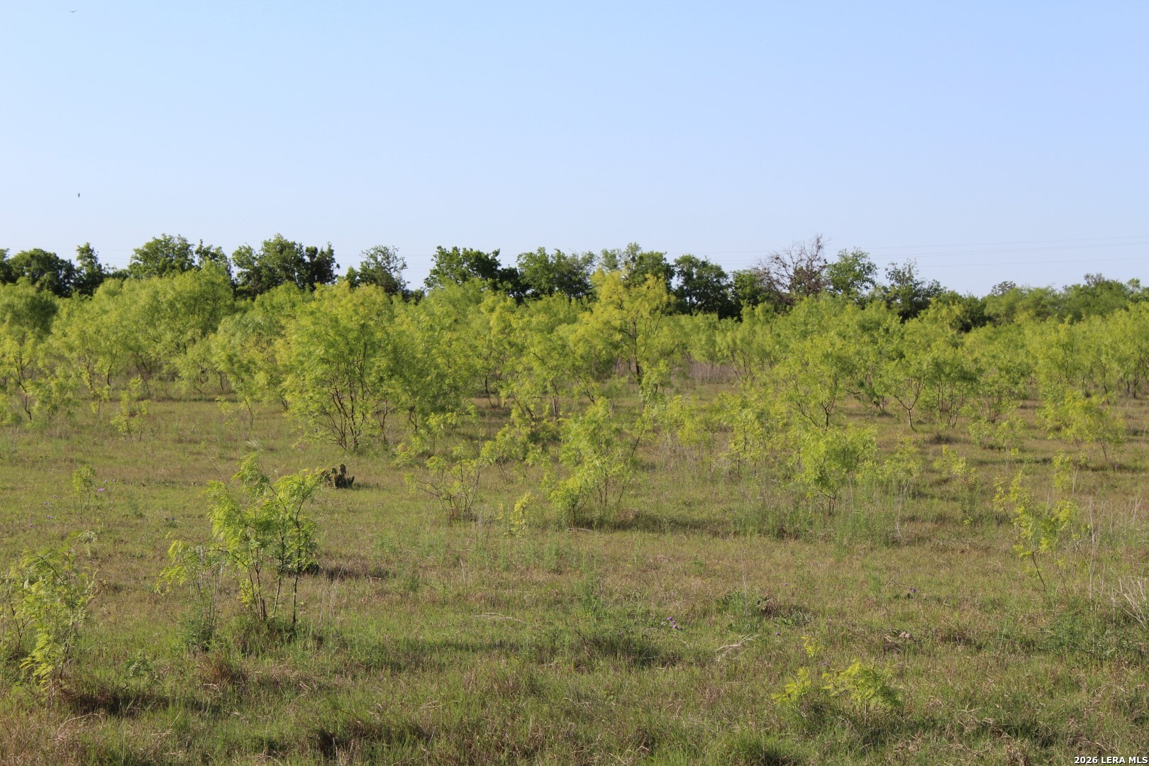 245 County Road 356 Utopia TX 78884