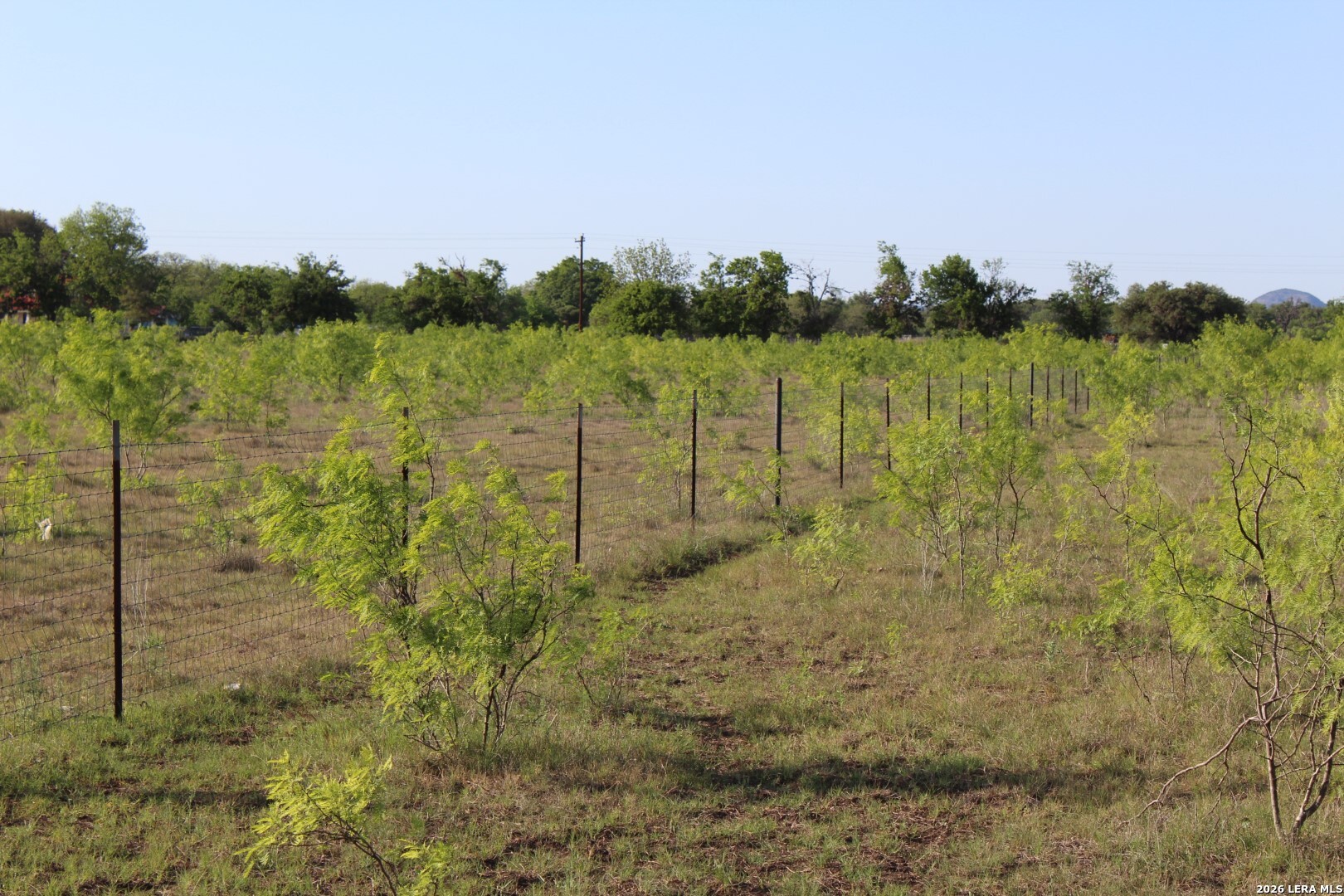 245 County Road 356 Utopia TX 78884