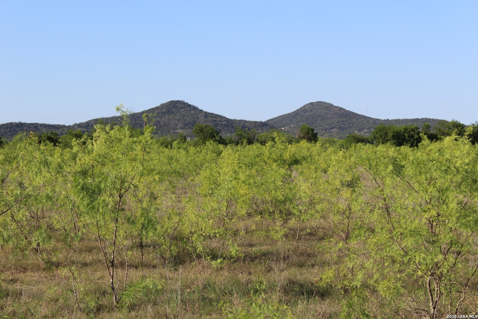 245 County Road 356 Utopia TX 78884