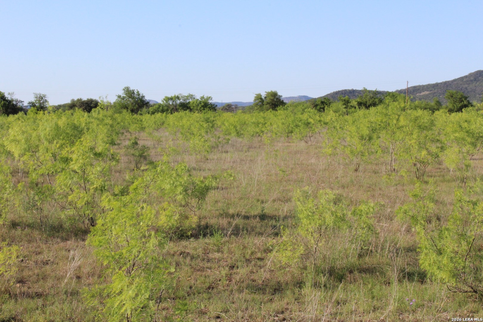 245 County Road 356 Utopia TX 78884