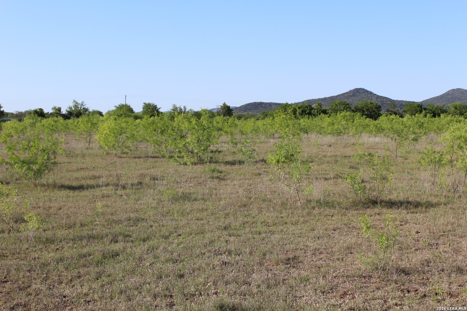 245 County Road 356 Utopia TX 78884