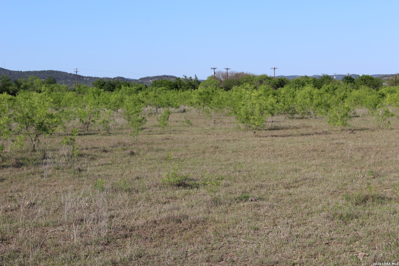 245 County Road 356 Utopia TX 78884