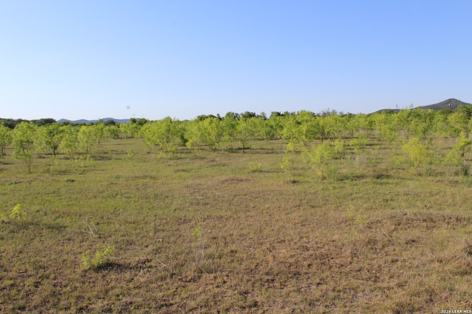 245 County Road 356 Utopia TX 78884