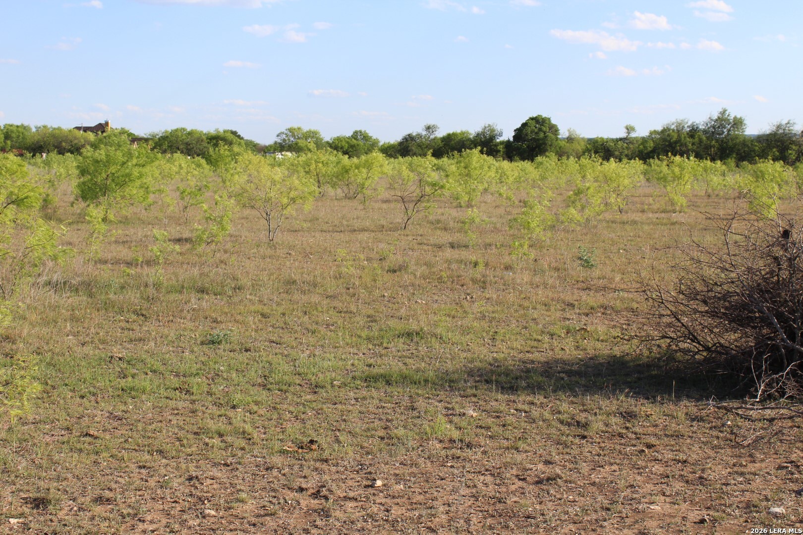 245 County Road 356 Utopia TX 78884