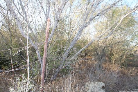 0000 County Road 339 Jourdanton TX 78026