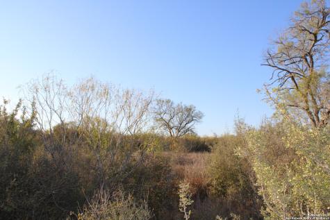 0000 County Road 339 Jourdanton TX 78026