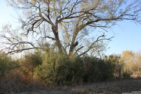 0000 County Road 339 Jourdanton TX 78026