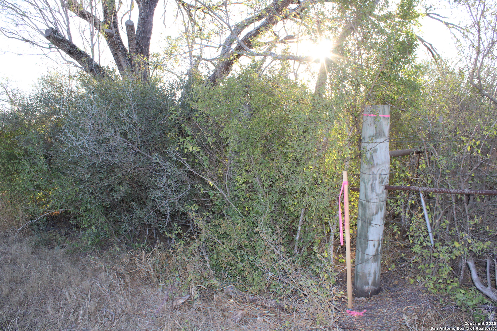 0000 County Road 339 Jourdanton TX 78026