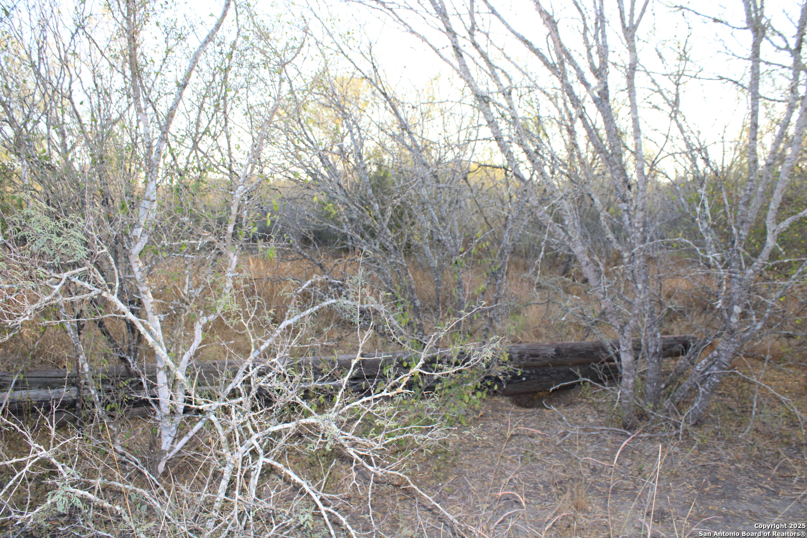 0000 County Road 339 Jourdanton TX 78026