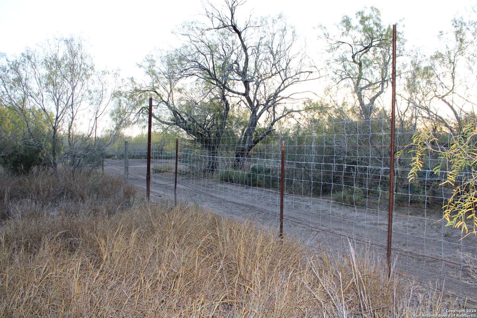 0000 County Road 339 Jourdanton TX 78026