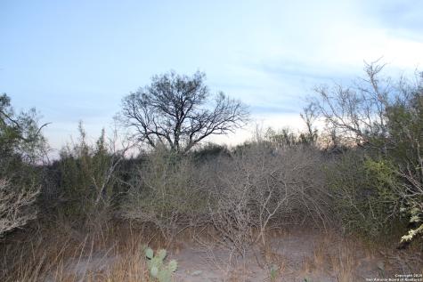 0000 County Road 339 Jourdanton TX 78026