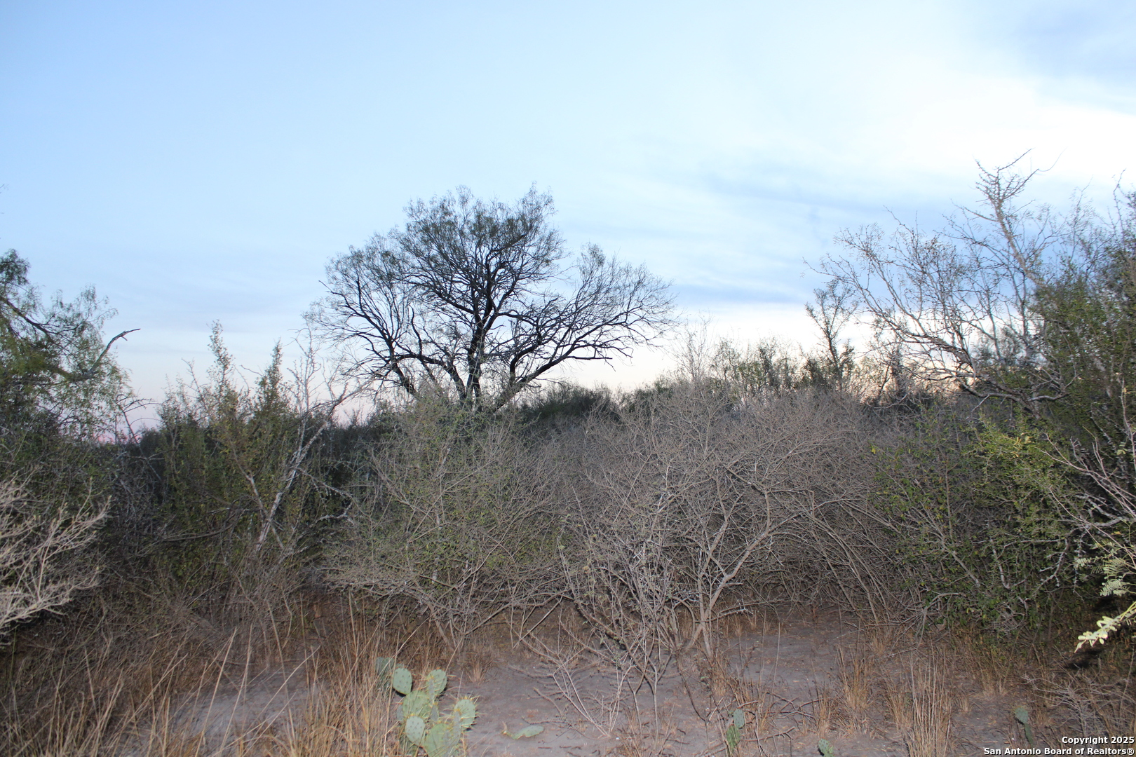 0000 County Road 339 Jourdanton TX 78026