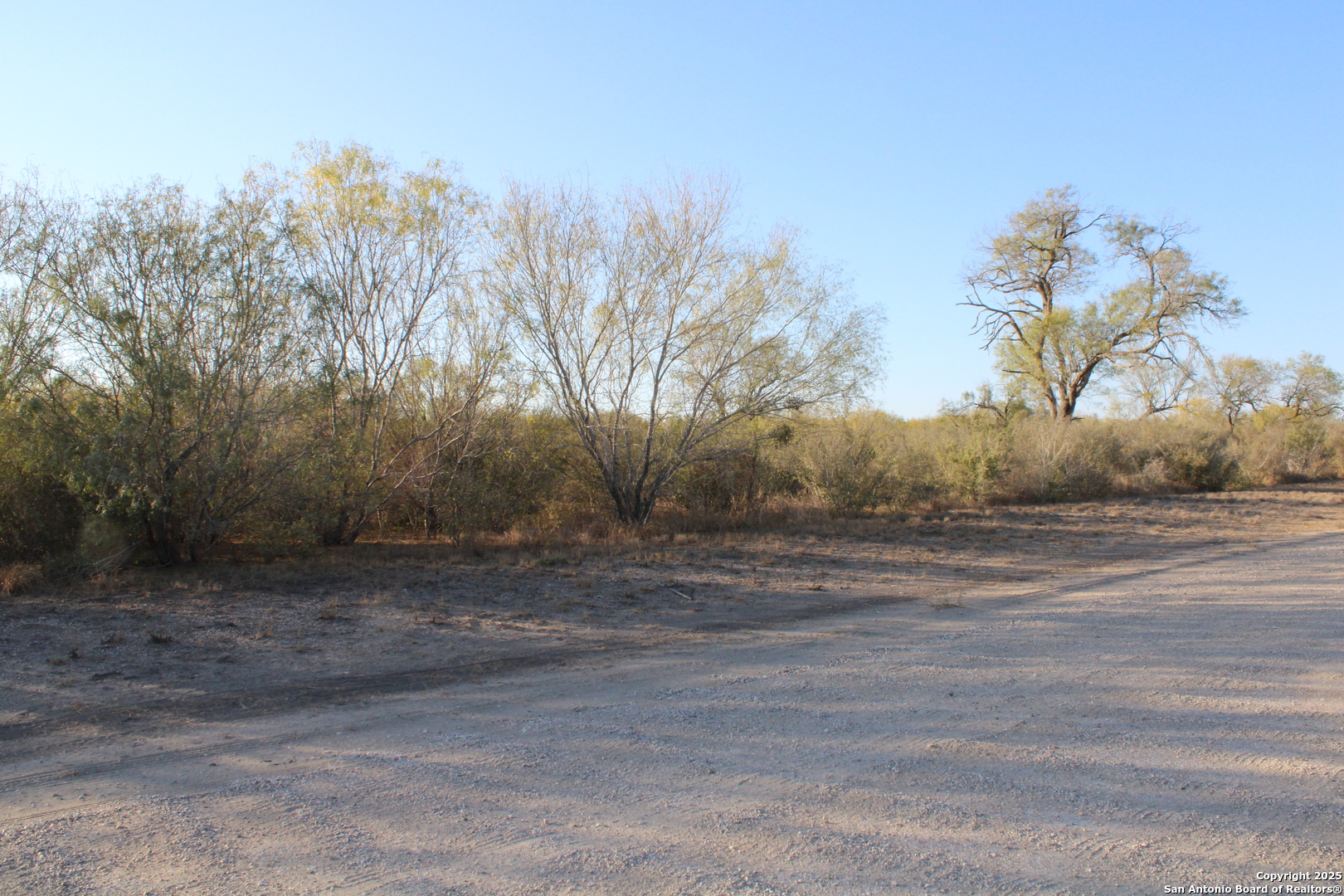 0000 County Road 339 Jourdanton TX 78026