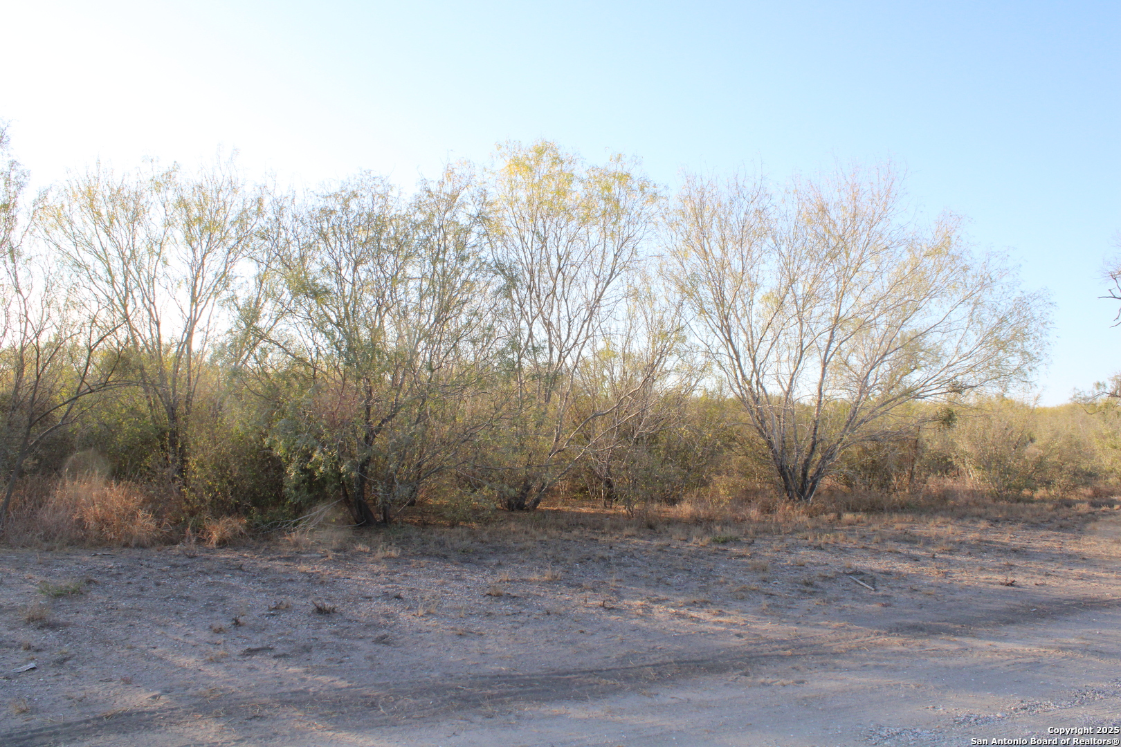 0000 County Road 339 Jourdanton TX 78026